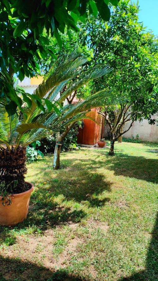 Greenhouse_Anzio Bagian luar foto
